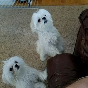 Meet your Posher, Rebecca