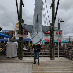 Meet your Posher, Durand