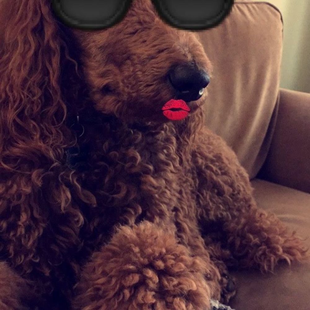 Meet your Posher, Kathryn