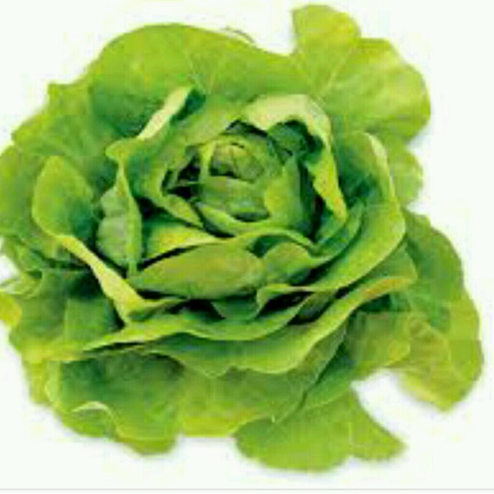 Meet your Posher, Pat