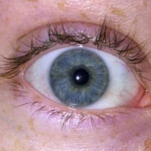 Meet your Posher, Audrey