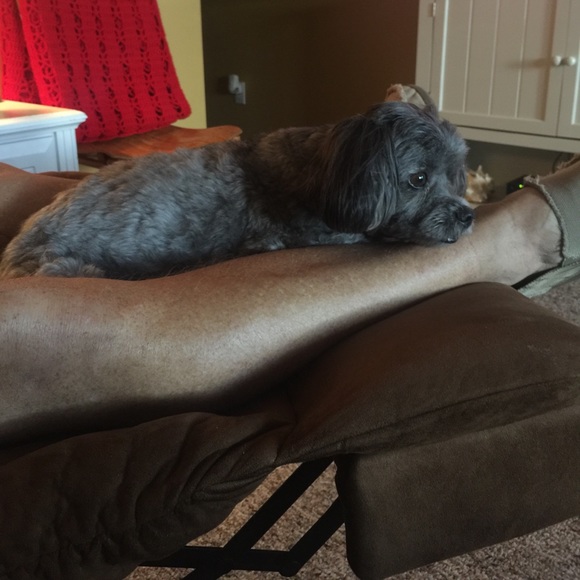 Meet your Posher, Myrvin - Picture 1 of 1