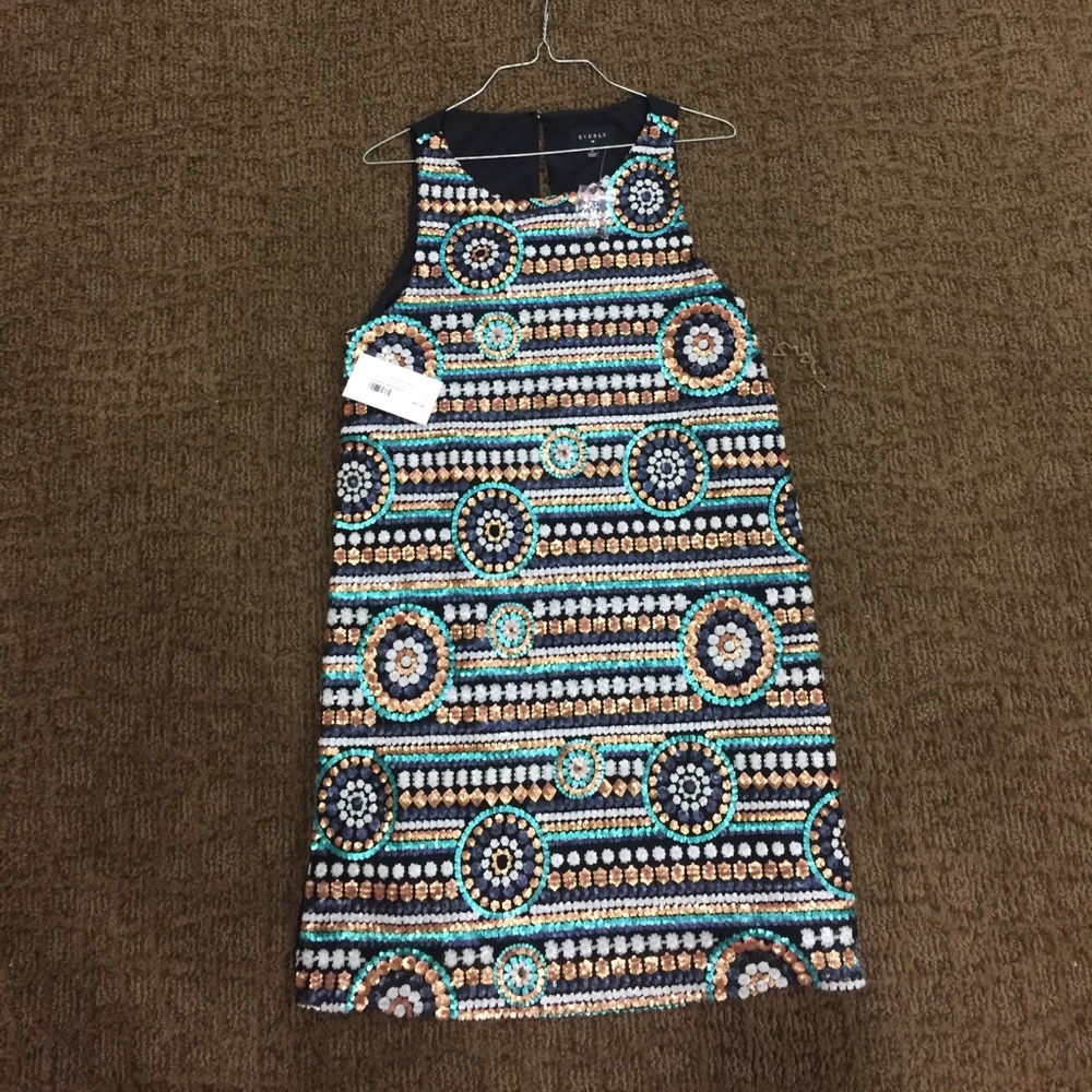 BRAND NEW Everly sequined dress