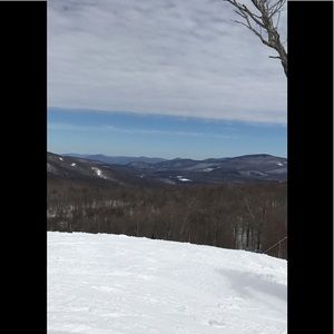 Meet your Posher, Steve