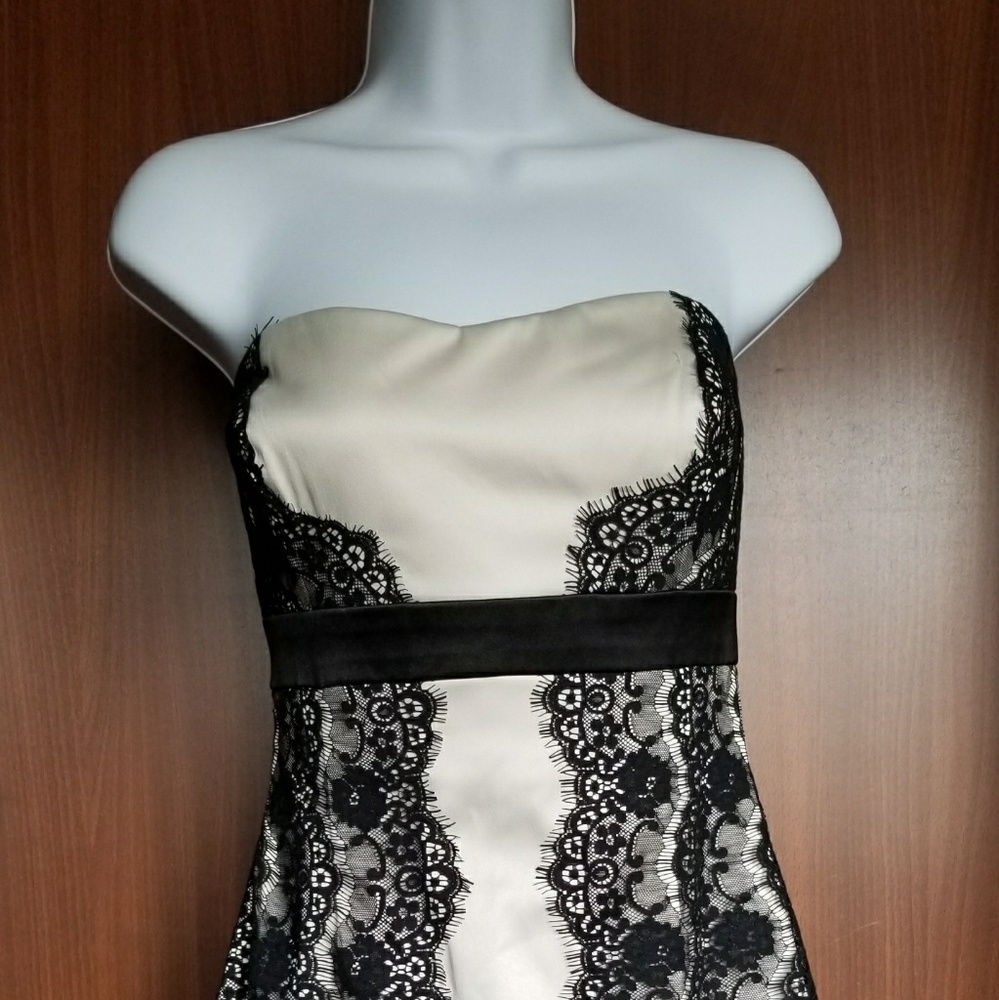 Manoukian/BCBG Dress