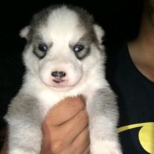 Meet your Posher, Thuan