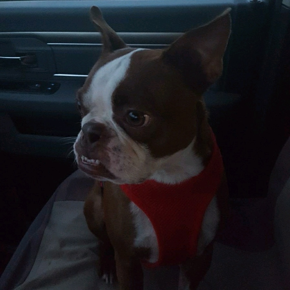 Meet your Posher, Heather