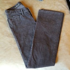 LOFT Ann Taylor cords