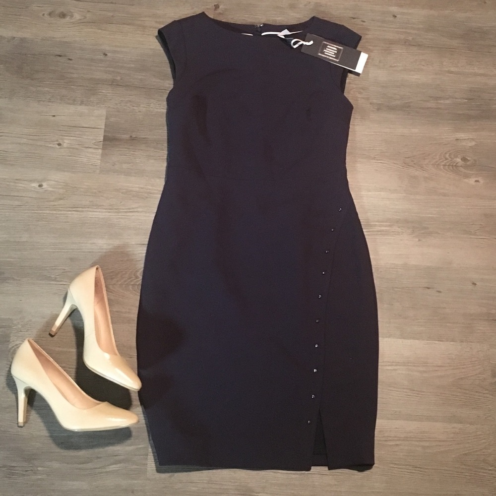 The Limited Luxe Collection fitted dress