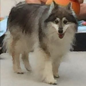 Meet your Posher, Jayne