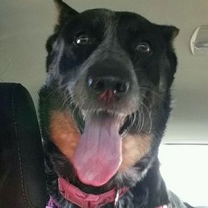 Meet your Posher, Gina