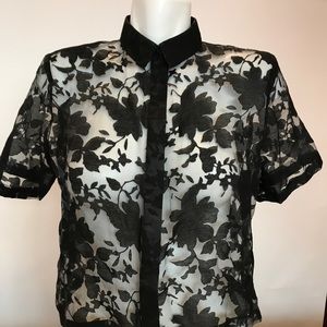 Lac Bleu Black Sheer Short Sleeve Button Down Top