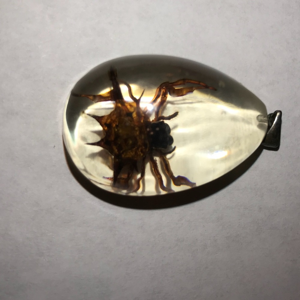 Real spider in clear resin pendant