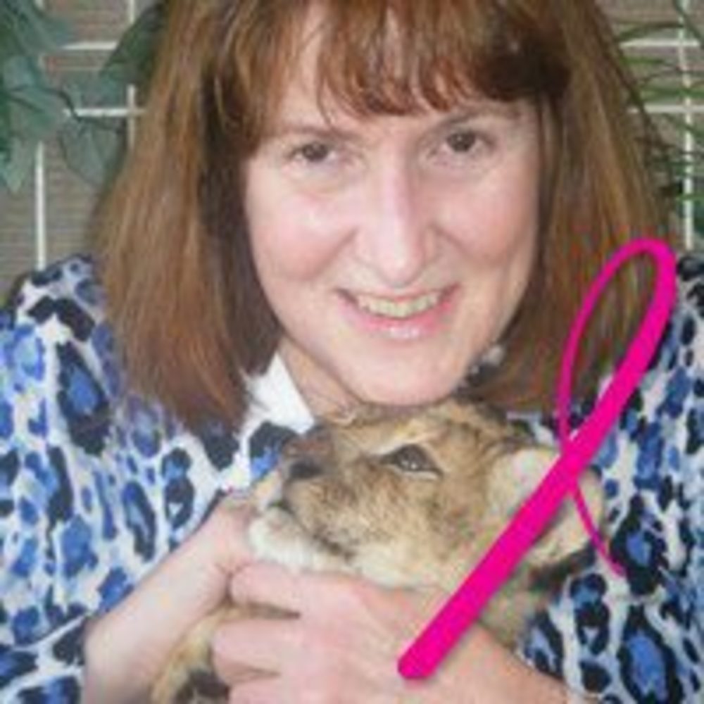 Meet your Posher, Kay