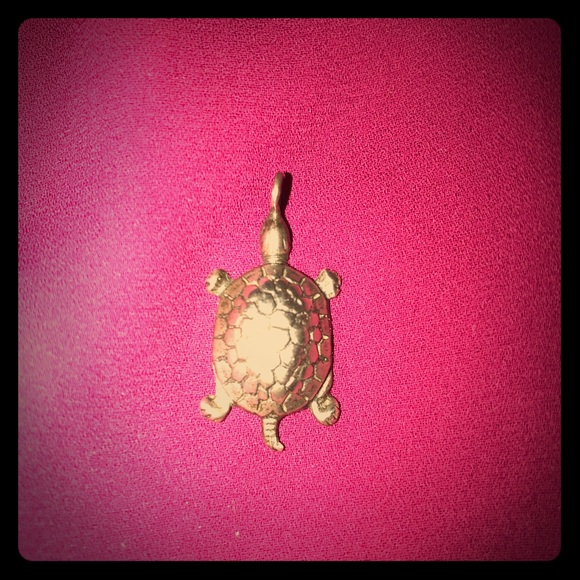 Turtle pendant - Picture 1 of 2