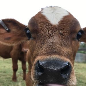 Meet your Posher, Melanie