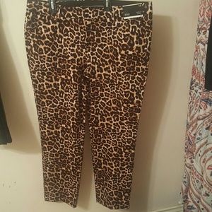 New! Beautiful Leopard Print Pants