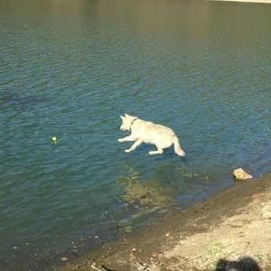 Meet your Posher, Greg