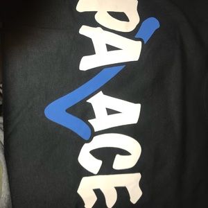 Palace correct Tee