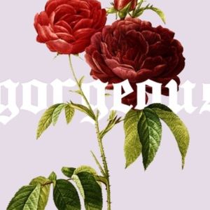 Meet your Posher, Bailey