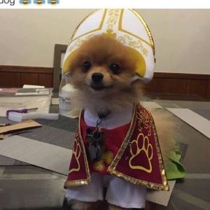 Meet your Posher, Linda