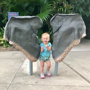 Meet your Posher, Kari