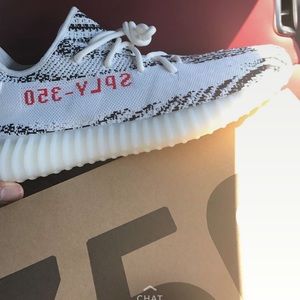 Zebra zeezy 350 boost