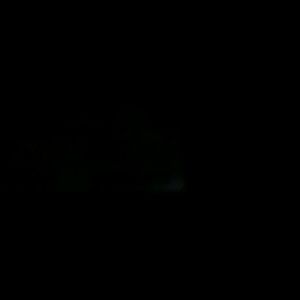 Meet your Posher, Gerald