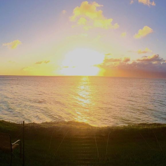 Meet your Posher, Dana - Picture 1 of 1