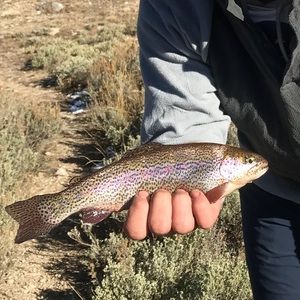 Meet your Posher, Seth