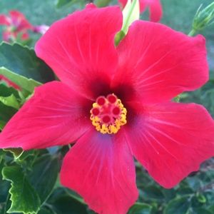 Meet your Posher, Jirina