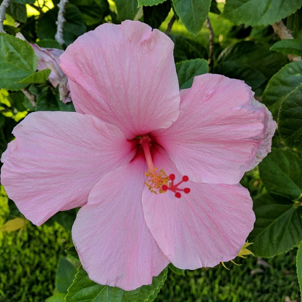 Meet your Posher, Brenda