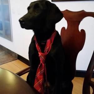 Meet your Posher, Maria rene