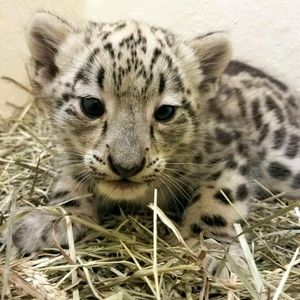 Meet your Posher, Tania