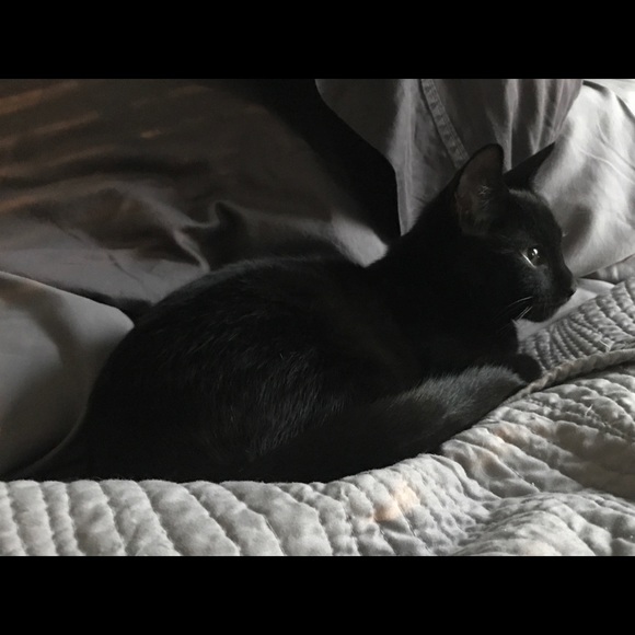 Meet your Posher, Leah - Picture 2 of 7