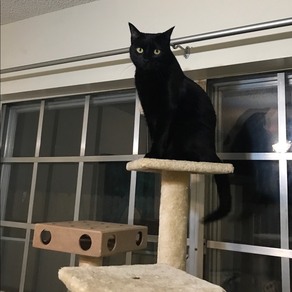 Meet your Posher, Leah - Picture 4 of 7