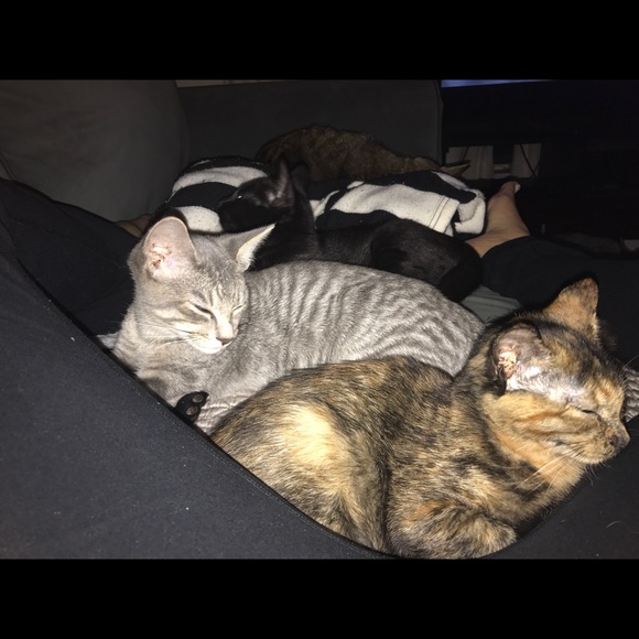 Meet your Posher, Leah - Picture 3 of 7