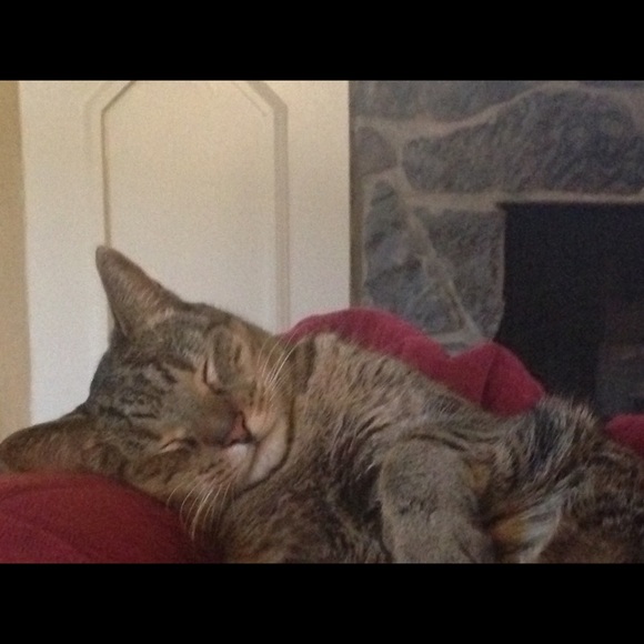 Meet your Posher, Leah - Picture 5 of 7