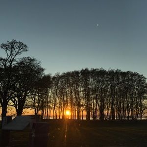 Meet your Posher, Devin