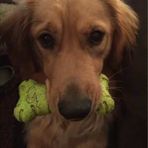 Meet your Posher, Leanne