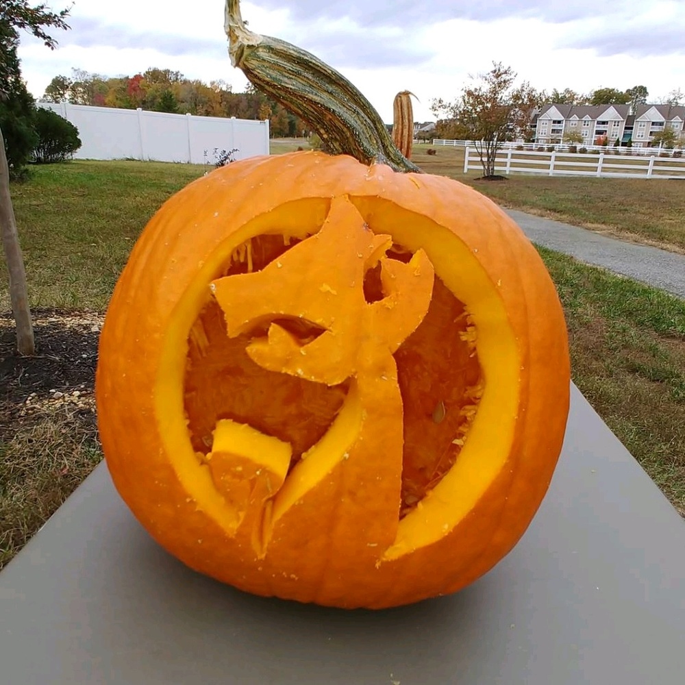 Meet your Posher, Jaye