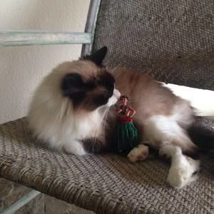 Meet your Posher, Toni