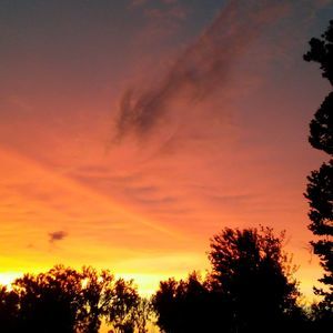 Meet your Posher, Dustin