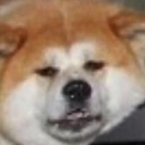 Meet your Posher, Lena