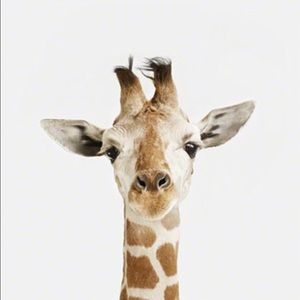 Meet your Posher, Jia