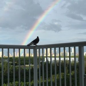 Meet your Posher, Bora