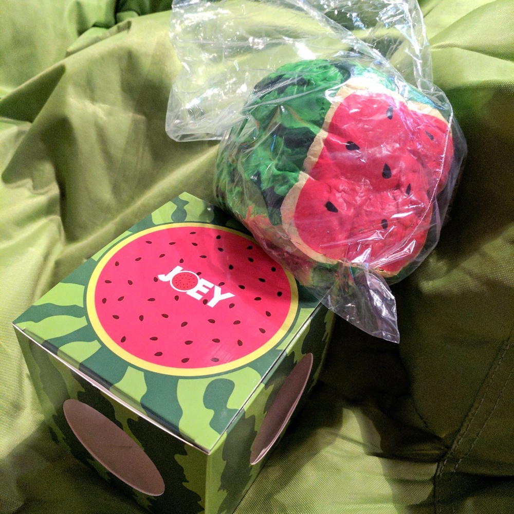 ⛔sold⛔ JOEY WATERMELON BREAD SQUISHY AUTH
