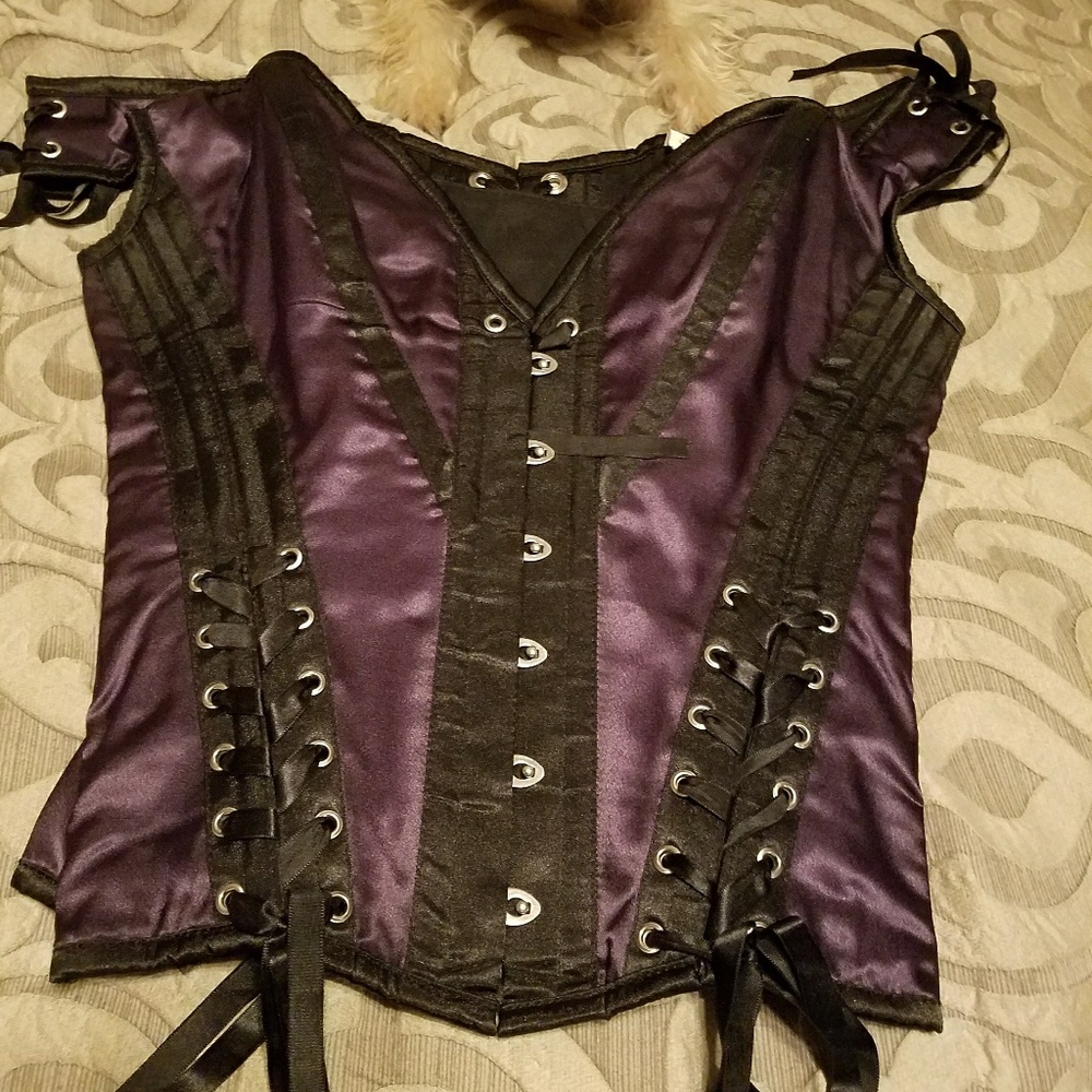 Victorian corset