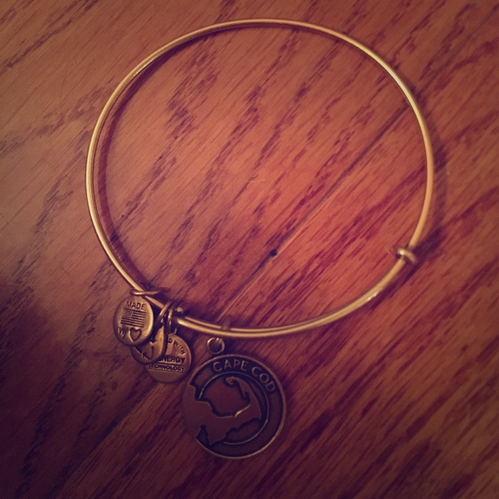Alex and Ani Cape Cod bracelet