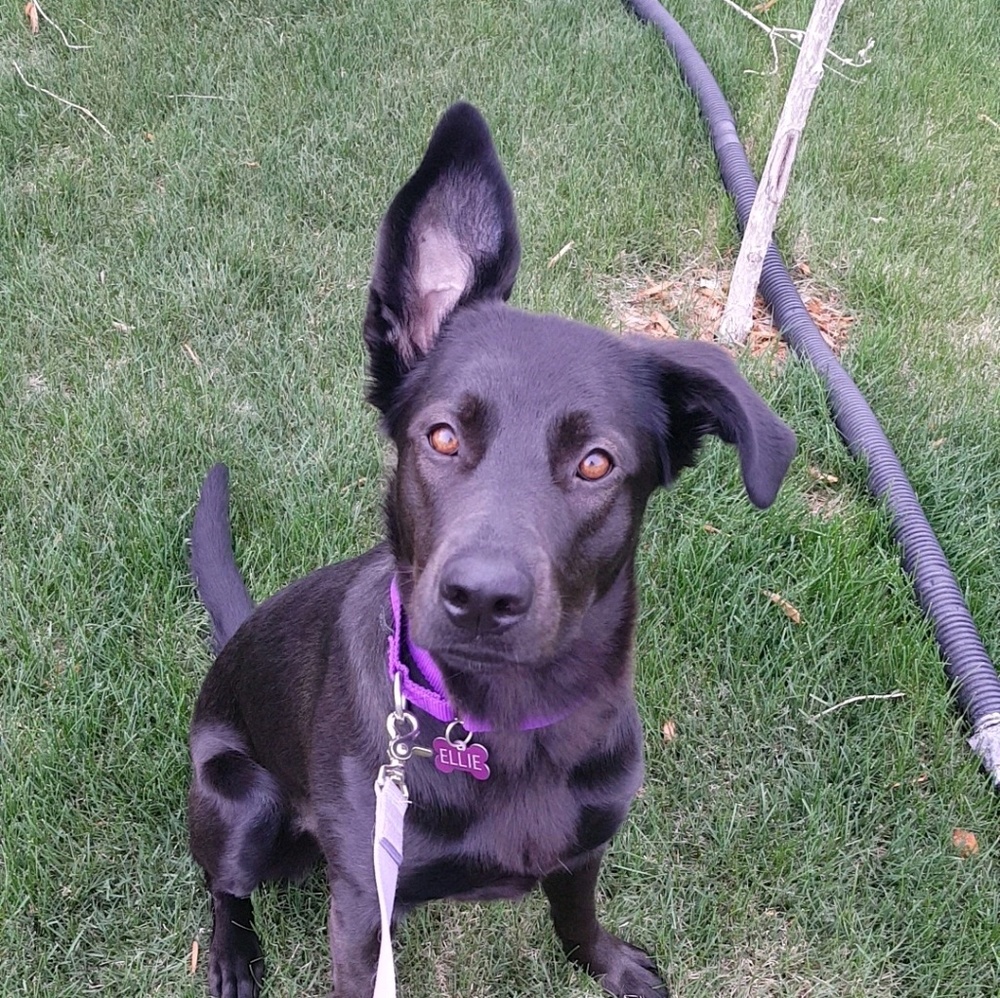 Meet your Posher, Winter